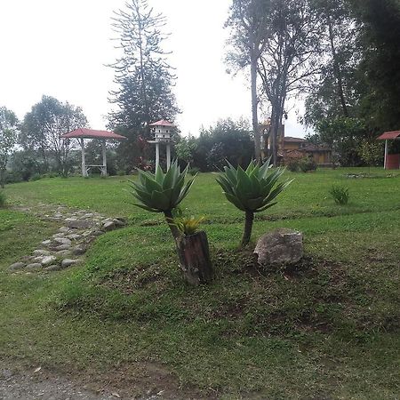 La Gaviota Bnb Panzió Filandia Kültér fotó