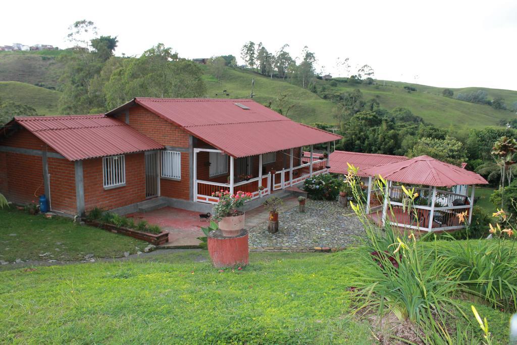 La Gaviota Bnb Panzió Filandia Szoba fotó